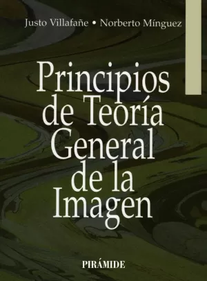 PRINCIPIOS TEORIA GENERAL IMAG