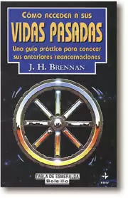 COMO ACCEDER A VIDAS PASADAS