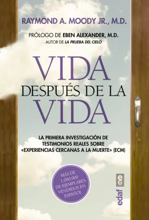 VIDA DESPUÉS DE LA VIDA