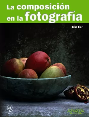 LA COMPOSICIÓN EN LA FOTOGRAFÍA LA COMPOSICIÓN EN LA FOTOGRAFÍA