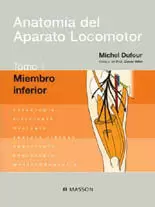 ANATOMIA DEL APARATO LOCOMOTOR 1 MIEMBRO INFERIOR