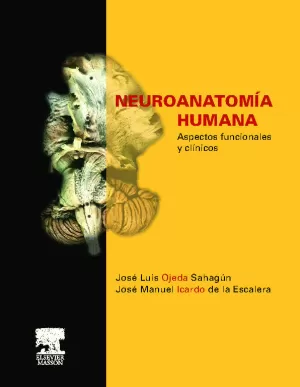 NEUROANATOMIA HUMANA