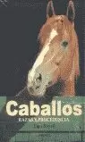 CABALLOS RAZAS Y PROCEDENCIA CARTONE