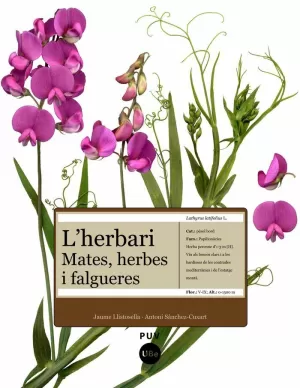 L'HERBARI - MATES HERBES I FALGUERES