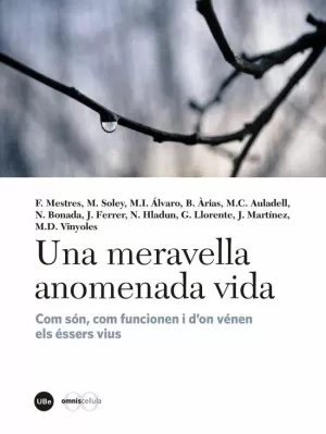 UNA MERAVELLA ANOMENADA VIDA