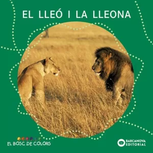 EL LLEÓ I LA LLEONA