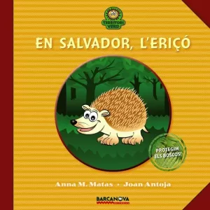 EN SALVADOR, L'ERIÇÓ