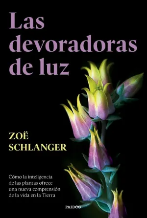 LAS DEVORADORAS DE LUZ LAS DEVORADORAS DE LUZ