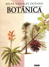 BOTANICA ATLAS VISUALES OCEANO