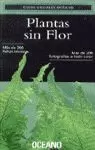 PLANTAS SIN FLOR