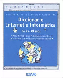 DICCIONARIO INTERNET & INFORMATICA