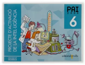PAI 2000, PROJECTE D PAI 2000, PROJECTE D