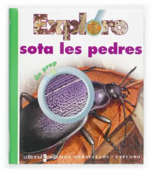 EXPLORO SOTA LES PEDRES