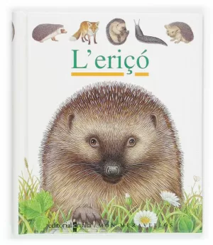 L´ERIÇO