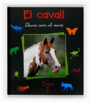 EL CAVALL LLIURE COM EL VENT