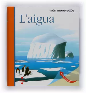L'AIGUA