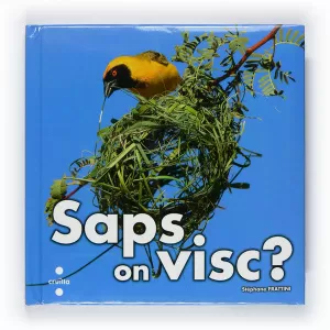 SAPS ON VISC?