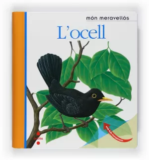 L'OCELL