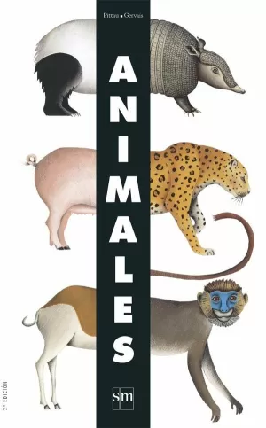 ANIMALES ANIMALES