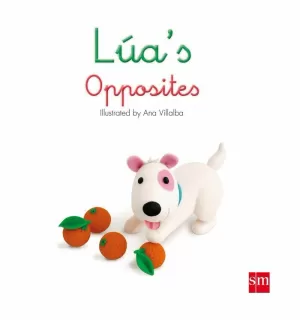 LUA'S OPPOSITES