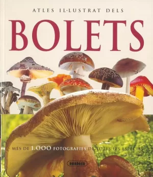 ATLES IL·LUSTRAT DELS BOLETS
