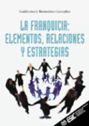 FRANQUICIA ELEMENTOS RELACIONES Y ESTRATEGIAS