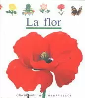 LA FLOR