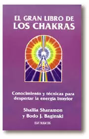GRAN LIBRO DE LOS CHAKRAS,EL