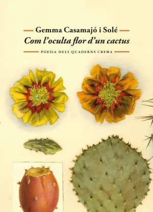 COM L'OCULTA FLOR D'UN CACTUS COM L'OCULTA FLOR D'UN CACTUS