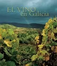 VINO EN GALICIA CASTELLANO INGLES