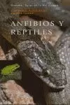 ANTIBIOS Y REPTILES