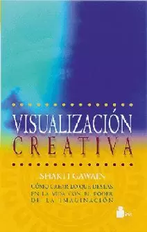 VISUALIZACION CREATIVA-SHAKKI