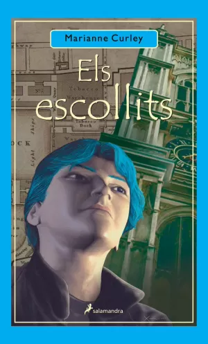 ELS ESCOLLITS