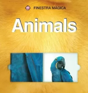 FINESTRA MAGICA COLORS CAT