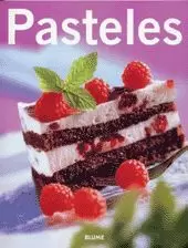 PASTELES