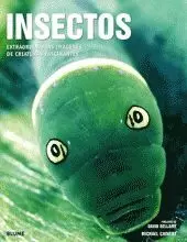 INSECTOS