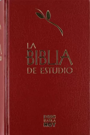 SANTA BIBLIA. 053EEI TAPA D. INDICE GRANATE