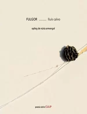 FULGOR