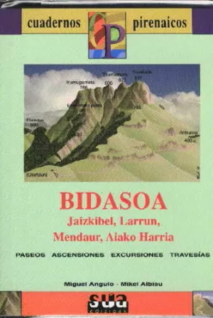 BIDASOA -LIBRO + MAPA- CASTELLA