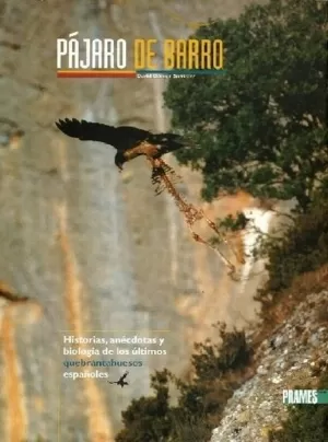 PAJARO DE BARRO PAJARO DE BARRO