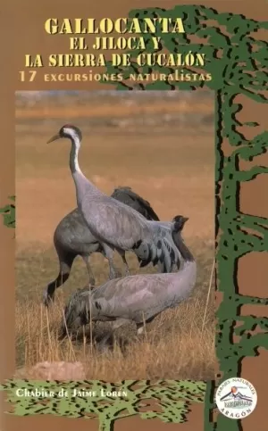 GALLOCANTA EL JILOCA Y SIERRA DE CUCALON