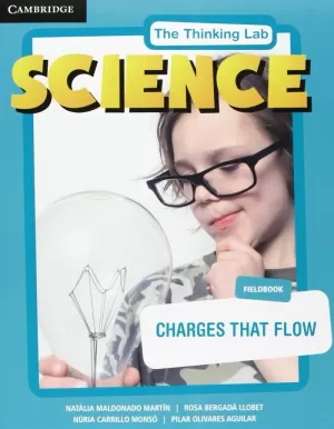 THE THINKING LAB: CHARGES THAT FLOW FIELDBOOK PACK
