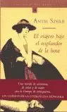 VIAJERO BAJO EL RESPLANDOR DE