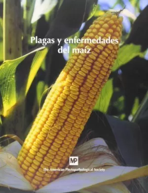 PLAGAS Y ENFERMEDADES DEL MAIZ