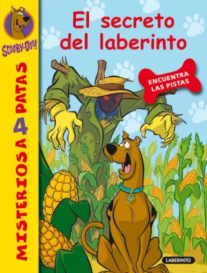 10. EL SECRETO DEL LABERINTO