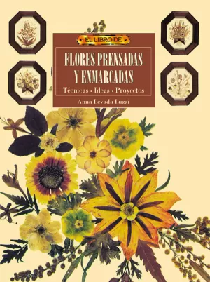 FLORES PRENSADAS Y ENMARCADAS