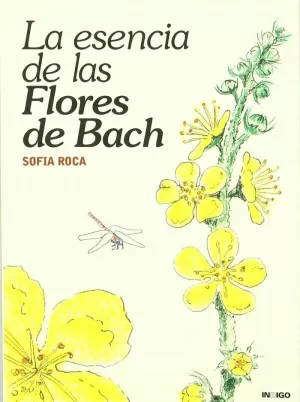 FLORES BACH