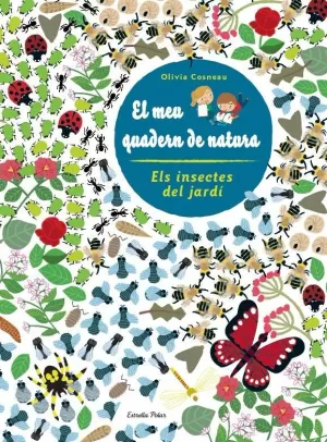 ELS INSECTES DEL JARDÍ