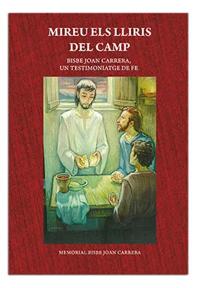 MIREU ELS LLIRIS DEL CAMP