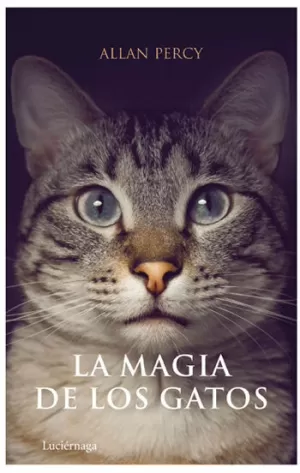 LA MAGIA DE LOS GATOS